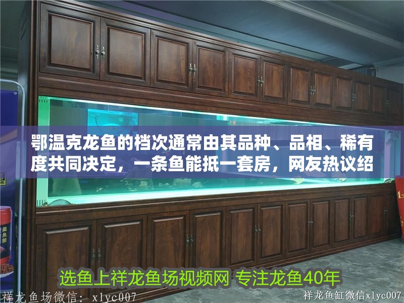 鄂溫克龍魚的檔次通常由其品種、品相、稀有度共同決定，一條魚能抵一套房，網友熱議紹興網聽，鄂溫克龍魚的價格是多少？