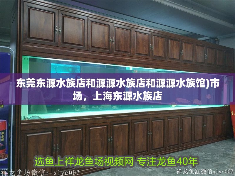 東莞東源水族店和源源水族店和源源水族館)市場(chǎng)，<strong><mark>上海</mark></strong>東源水族店