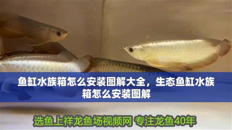 魚缸水族箱怎么安裝圖解大全，生態魚缸水族箱怎么安裝圖解