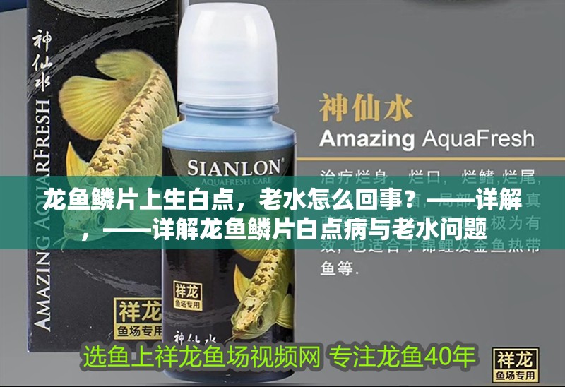 龍魚鱗片上生白點，老水怎么回事？——詳解，——詳解龍魚鱗片白點病與老水問題