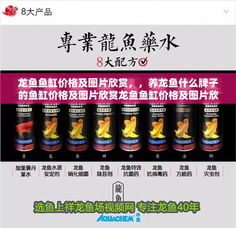 龍魚魚缸價格及圖片欣賞，，養龍魚什么牌子的魚缸價格及圖片欣賞龍魚魚缸價格及圖片欣賞