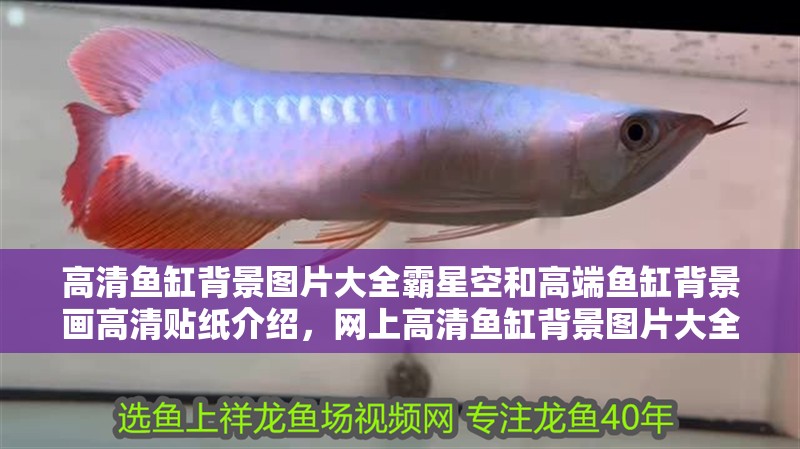 高清魚缸背景圖片大全霸星空和高端魚缸背景畫高清貼紙介紹，網上高清魚缸背景圖片大全霸星空你最好找