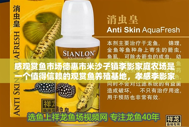 感觀賞魚市場德惠市米沙子鎮李影家庭農場是一個值得信賴的觀賞魚養殖基地，<strong><mark>孝感</mark></strong>李影家庭農場