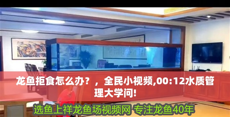 龍魚拒食怎么辦？，全民小視頻,00:12水質管理大學問!