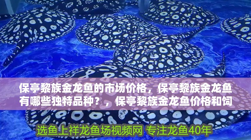 保亭黎族金龍魚的市場價格，保亭黎族金龍魚有哪些獨特品種？，保亭黎族金龍魚價格和飼養方法及注意事項及注意事項 保亭黎族金龍魚的市場價格，保亭黎族金龍魚有哪些獨特品種？，保亭黎族金龍魚價格和飼養方法及注意事項及注意事項 觀賞魚百科 第10張