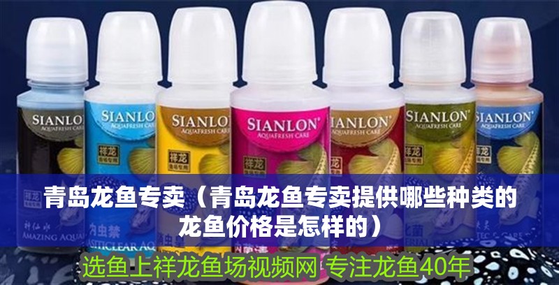 青島龍魚專賣（青島龍魚專賣提供哪些種類的龍魚價格是怎樣的）