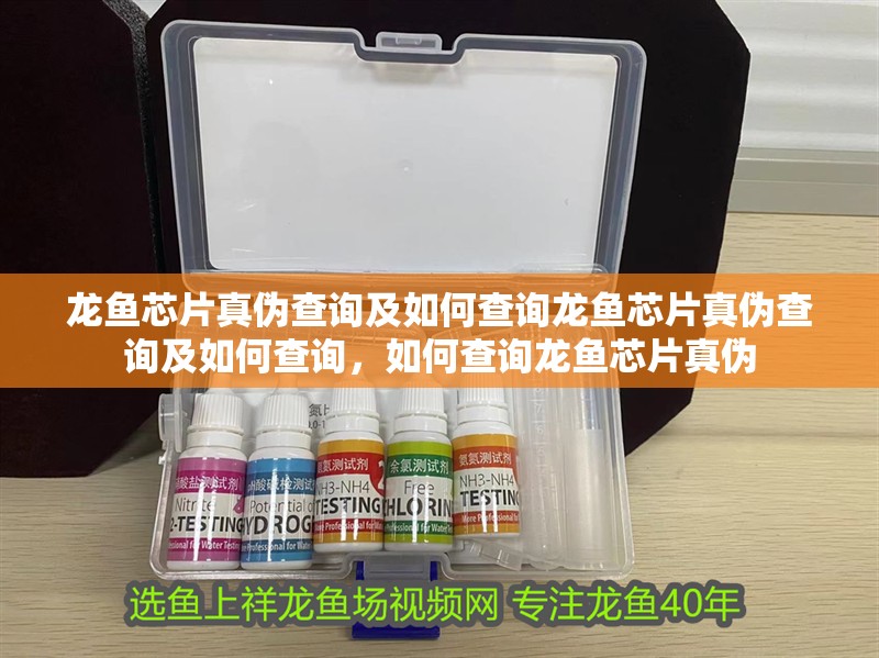 龍魚芯片真偽查詢及如何查詢龍魚芯片真偽查詢及如何查詢，如何查詢龍魚芯片真偽