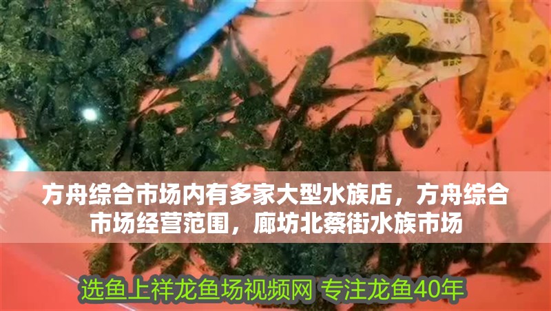 方舟綜合市場內有多家大型水族店，方舟綜合市場經營范圍，廊坊北蔡街水族市場