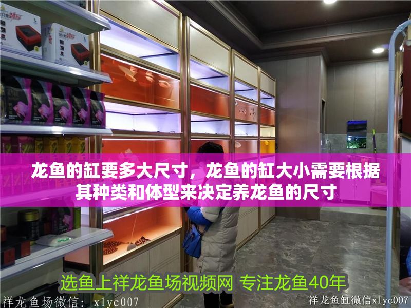 龍魚的缸要多大尺寸，龍魚的缸大小需要根據(jù)其種類和體型來決定養(yǎng)龍魚的尺寸