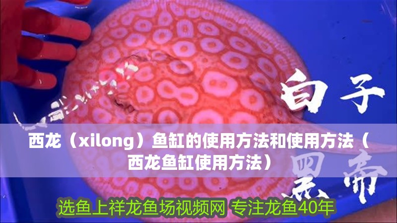 西龍（xilong）魚缸的使用方法和使用方法（西龍魚缸使用方法） 西龍（xilong）魚缸的使用方法和使用方法（西龍魚缸使用方法） 觀賞魚百科