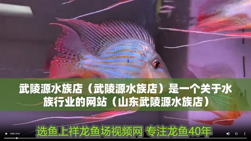 <strong><mark>武陵</mark></strong>源水族店（<strong><mark>武陵</mark></strong>源水族店）是一個關于水族行業的網站（山東<strong><mark>武陵</mark></strong>源水族店）