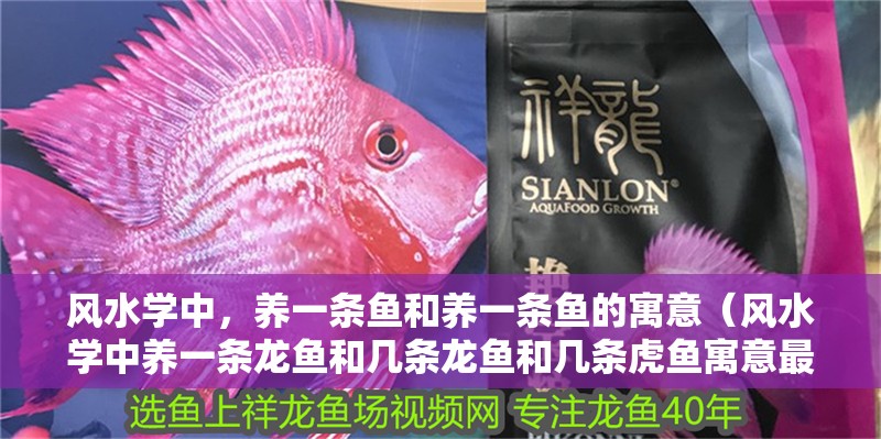 風(fēng)水學(xué)中，養(yǎng)一條魚和養(yǎng)一條魚的寓意（風(fēng)水學(xué)中養(yǎng)一條龍魚和幾條龍魚和幾條虎魚寓意最好的魚缸）