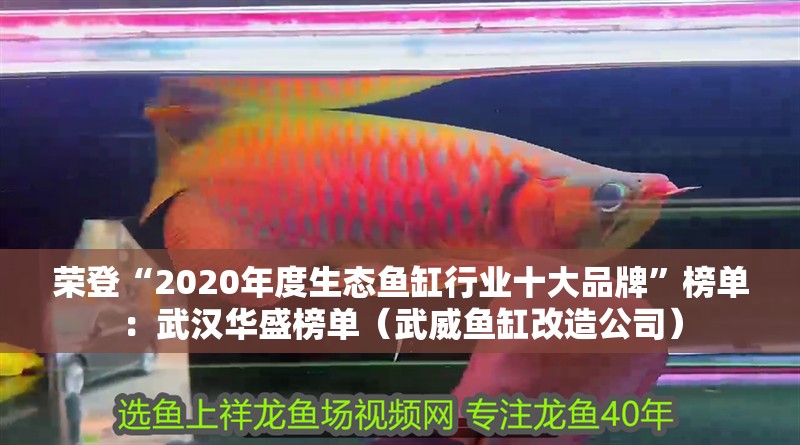 榮登“2020年度生態魚缸行業十大品牌”榜單：武漢華盛榜單（武威魚缸改造公司）