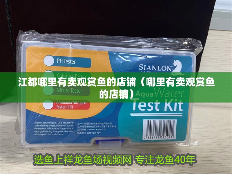 <strong><mark>江都</mark></strong>哪里有賣觀賞魚的店鋪（哪里有賣觀賞魚的店鋪）