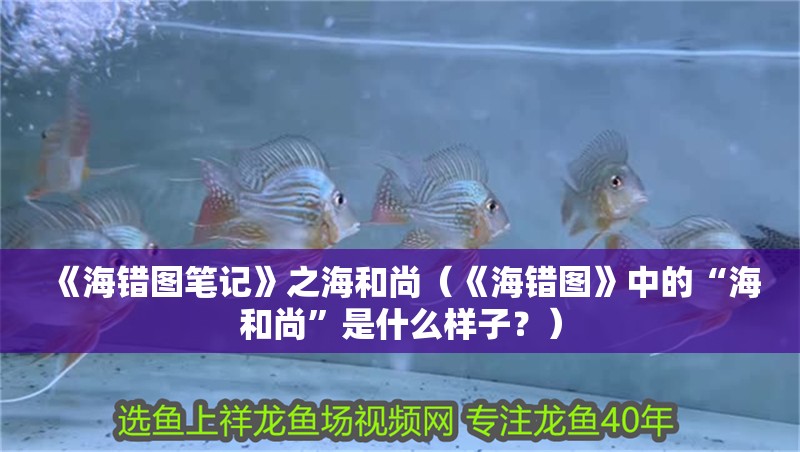 《海錯圖筆記》之海和尚（《海錯圖》中的“海和尚”是什么樣子？）