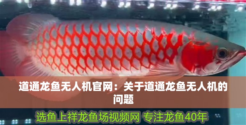 道通龍魚無人機官網：關于道通龍魚無人機的問題