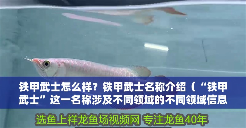 鐵甲武士怎么樣？鐵甲武士名稱介紹（“鐵甲武士”這一名稱涉及不同領域的不同領域信息）