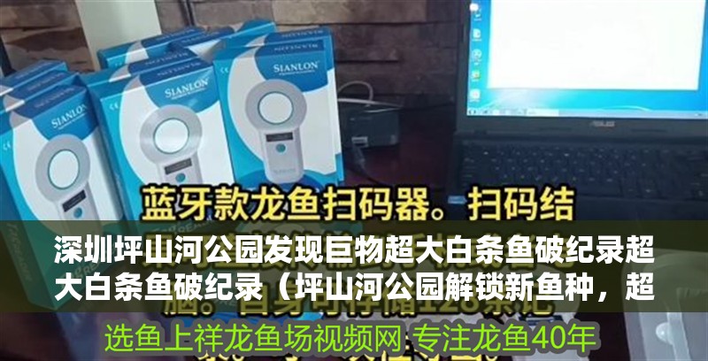 深圳坪山河公園發(fā)現(xiàn)巨物超大白條魚破紀錄超大白條魚破紀錄（坪山河公園解鎖新魚種，超大白條魚破紀錄！）