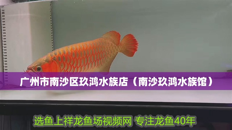 廣州市南沙區(qū)玖鴻水族店（南沙玖鴻水族館）