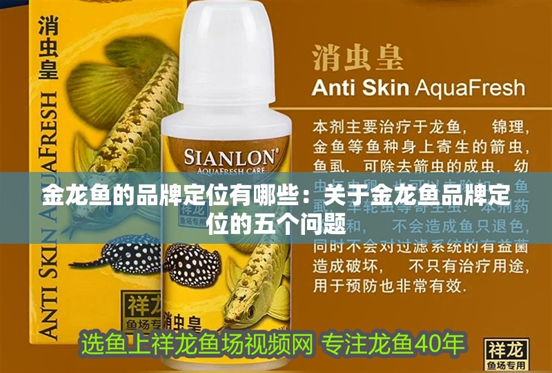 金龍魚的品牌定位有哪些：關(guān)于金龍魚品牌定位的五個問題