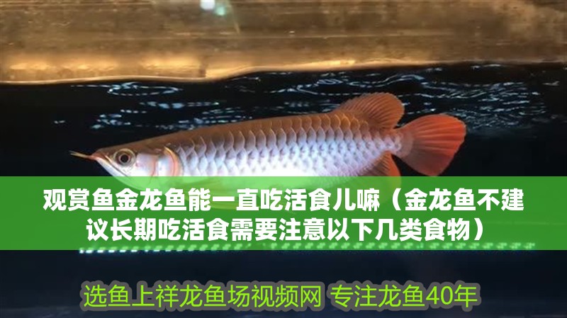 觀賞魚金龍魚能一直吃活食兒嘛（金龍魚不建議長期吃活食需要注意以下幾類食物） 觀賞魚金龍魚能一直吃活食兒嘛（金龍魚不建議長期吃活食需要注意以下幾類食物） 觀賞魚百科