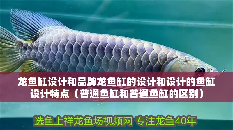 龍魚缸設計和品牌龍魚缸的設計和設計的魚缸設計特點（普通魚缸和普通魚缸的區別） 龍魚缸設計和品牌龍魚缸的設計和設計的魚缸設計特點（普通魚缸和普通魚缸的區別） 觀賞魚百科 第4張