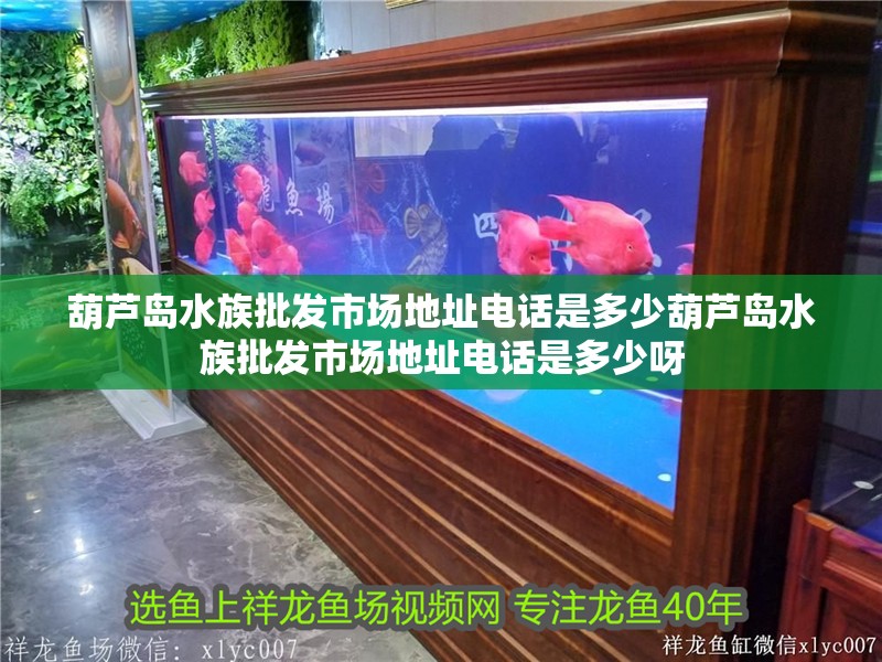 葫蘆島水族批發(fā)市場(chǎng)地址電話是多少葫蘆島水族批發(fā)市場(chǎng)地址電話是多少呀