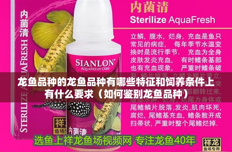 龍魚品種的龍魚品種有哪些特征和飼養條件上有什么要求（如何鑒別龍魚品種）