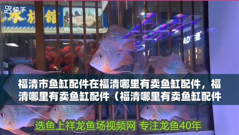 福清市魚缸配件在福清哪里有賣魚缸配件，福清哪里有賣魚缸配件（福清哪里有賣魚缸配件） 福清市魚缸配件在福清哪里有賣魚缸配件，福清哪里有賣魚缸配件（福清哪里有賣魚缸配件） 觀賞魚百科 第2張