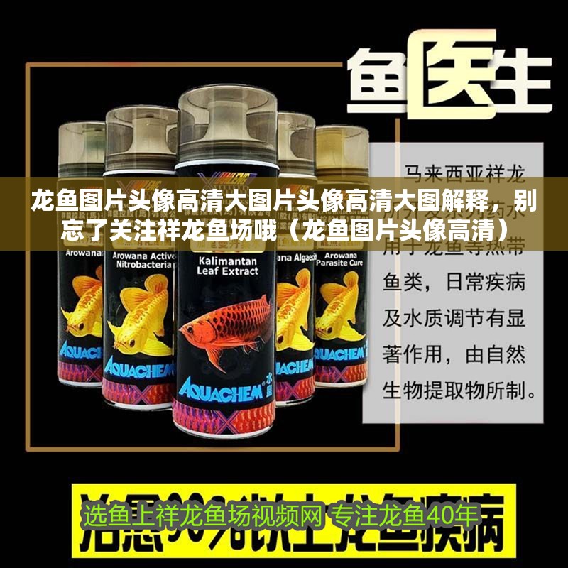 龍魚圖片頭像高清大圖片頭像高清大圖解釋，別忘了關(guān)注祥龍魚場(chǎng)哦（龍魚圖片頭像高清）