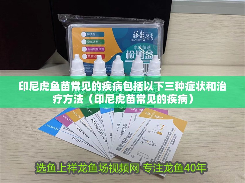 印尼虎魚苗常見的疾病包括以下三種癥狀和治療方法（印尼虎苗常見的疾病）