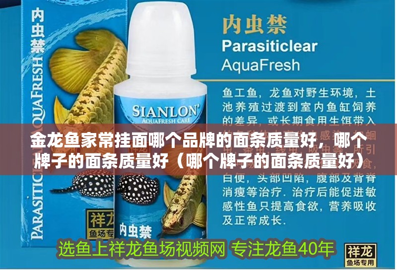 金龍魚家常掛面哪個品牌的面條質量好，哪個牌子的面條質量好（哪個牌子的面條質量好）