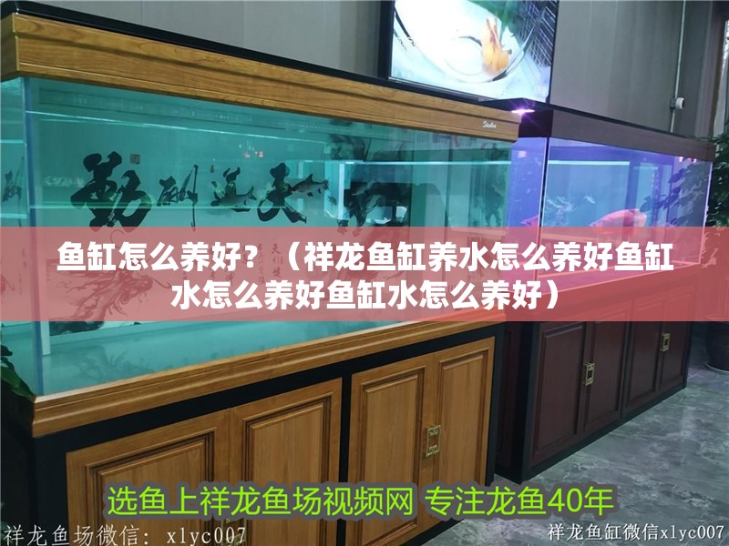 魚缸怎么養好？（祥龍魚缸養水怎么養好魚缸水怎么養好魚缸水怎么養好）