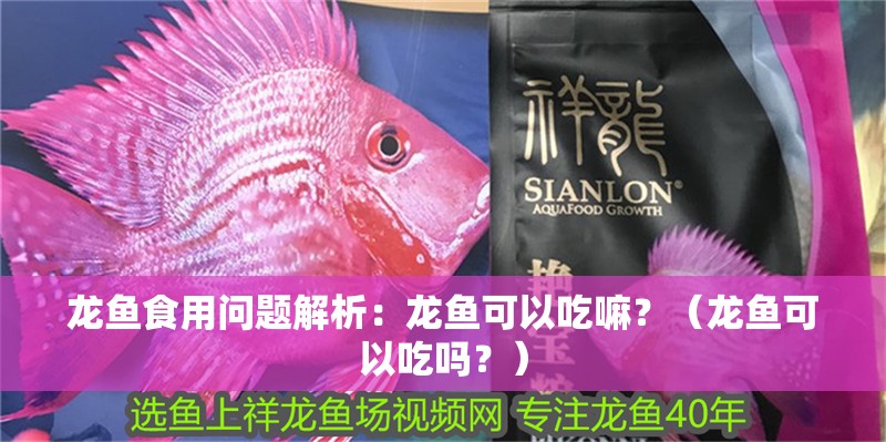 龍魚食用問題解析：龍魚可以吃嘛？（龍魚可以吃嗎？） 龍魚食用問題解析：龍魚可以吃嘛？（龍魚可以吃嗎？） 觀賞魚百科 第2張