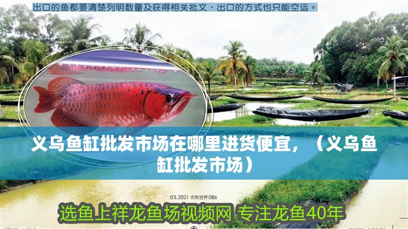義烏魚缸批發市場在哪里進貨便宜，（義烏魚缸批發市場）