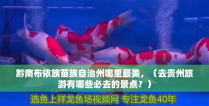 黔南布依族苗族自治州哪里最美，（去貴州旅游有哪些必去的景點？）