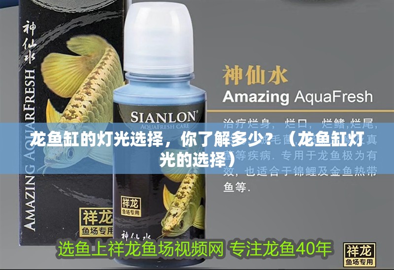 龍魚缸的燈光選擇，你了解多少？（龍魚缸燈光的選擇） 龍魚缸的燈光選擇，你了解多少？（龍魚缸燈光的選擇） 觀賞魚百科 第2張