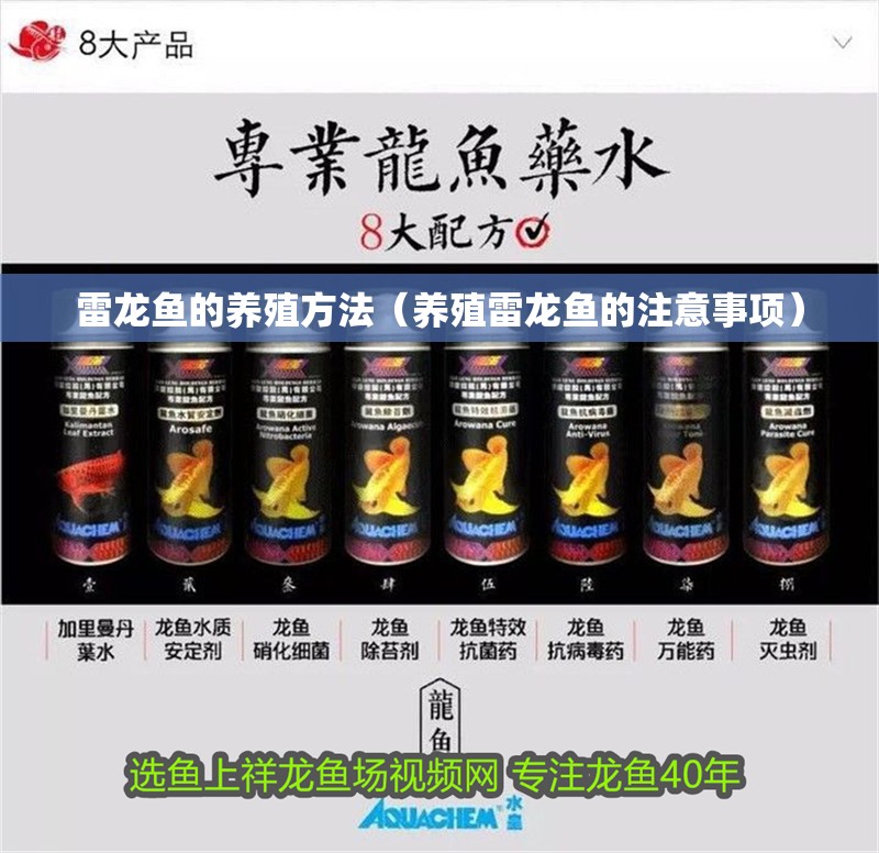 雷龍魚的養殖方法（養殖雷龍魚的注意事項）