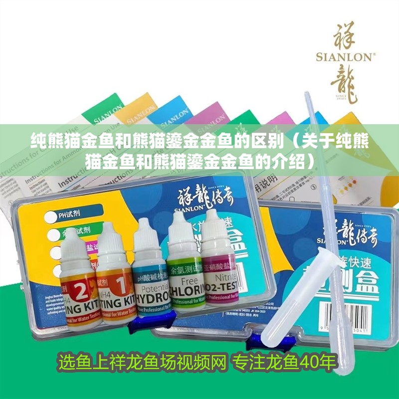 純熊貓金魚和熊貓鎏金金魚的區別（關于純熊貓金魚和熊貓鎏金金魚的介紹）
