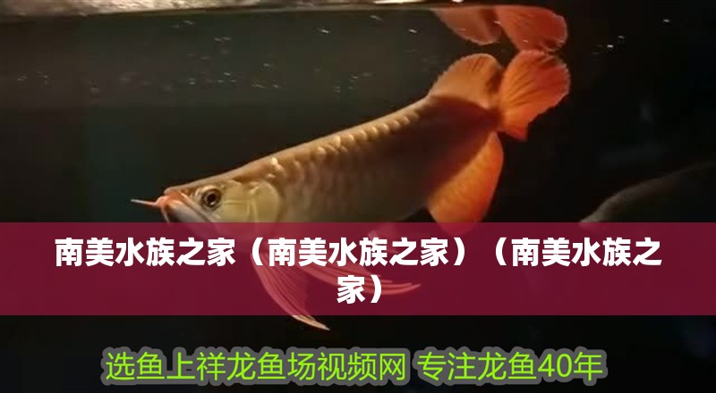 南美水族之家（南美水族之家）（南美水族之家）