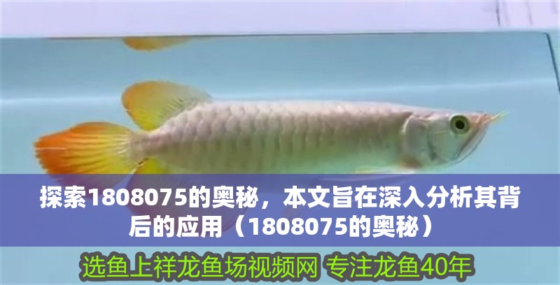探索1808075的奧秘，本文旨在深入分析其背后的應用（1808075的奧秘） 探索1808075的奧秘，本文旨在深入分析其背后的應用（1808075的奧秘） 觀賞魚百科 第2張