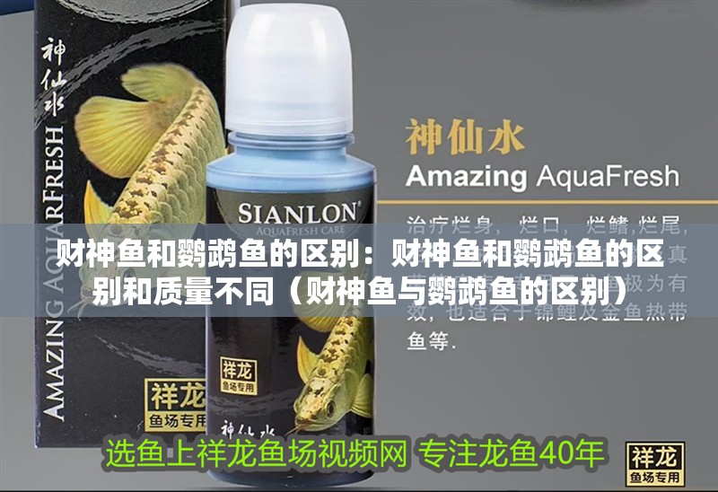 財神魚和鸚鵡魚的區別：財神魚和鸚鵡魚的區別和質量不同（財神魚與鸚鵡魚的區別）