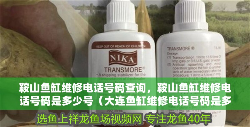 <strong><mark>鞍山</mark></strong>魚缸維修電話號碼查詢，<strong><mark>鞍山</mark></strong>魚缸維修電話號碼是多少號（大連魚缸維修電話號碼是多少號）