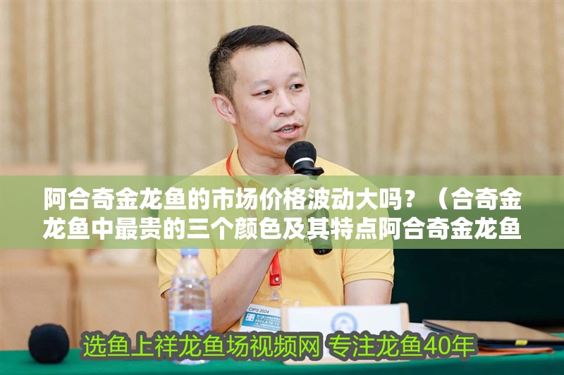 阿合奇金龍魚的市場價格波動大嗎？（合奇金龍魚中最貴的三個顏色及其特點阿合奇金龍魚養殖教程） 阿合奇金龍魚的市場價格波動大嗎？（合奇金龍魚中最貴的三個顏色及其特點阿合奇金龍魚養殖教程） 觀賞魚百科 第8張