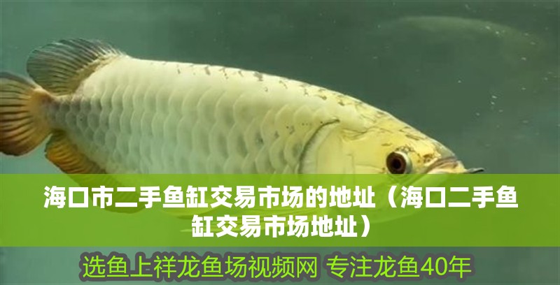 海口市二手魚缸交易市場的地址（海口二手魚缸交易市場地址） 海口市二手魚缸交易市場的地址（海口二手魚缸交易市場地址） 觀賞魚百科 第2張