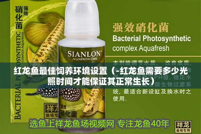 紅龍魚最佳飼養(yǎng)環(huán)境設(shè)置（-紅龍魚需要多少光照時(shí)間才能保證其正常生長(zhǎng)）