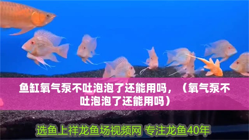 魚缸氧氣泵不吐泡泡了還能用嗎，（氧氣泵不吐泡泡了還能用嗎）
