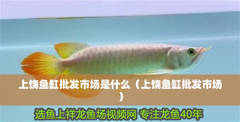 上饒魚缸批發市場是什么（上饒魚缸批發市場）