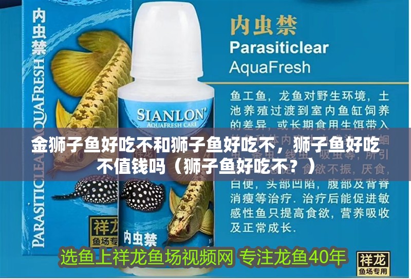 金獅子魚好吃不和獅子魚好吃不，獅子魚好吃不值錢嗎（獅子魚好吃不？）