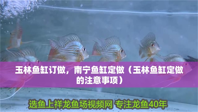 玉林魚缸訂做，南寧魚缸定做（玉林魚缸定做的注意事項）